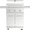41EZ5BbSEHL.__AC_SY300_SX300_QL70_FMwebp_ Nexgrill 3-Burner Propane Gas Grill Review Perfect for Outdoor BBQ and Tailgating