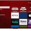 61pJt6EZ8WL.__AC_SX300_SY300_QL70_FMwebp_ TCL 55S451 4K UHD HDR Smart Roku TV review for immersive streaming experience