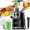 719pdTJXFYL.__AC_SX300_SY300_QL70_ML2_ Aeitto Cold Press Juicer review exploring top features for fruits and vegetables