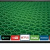 71AMaSGtNlL.__AC_SX300_SY300_QL70_FMwebp_ VIZIO D24-D1 D-Series LED Smart TV review compact design and streaming features